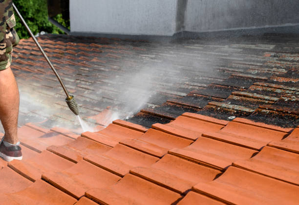Roof Power Washing Services in Atwater, MN